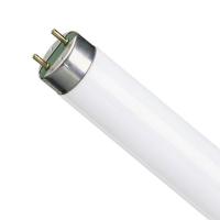 Лампа TLD Osram 36W/765 G13 Т8